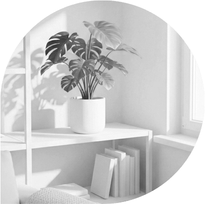 Plant on a bookshelf by a window getting sunlight in a safe and comfortable environment.